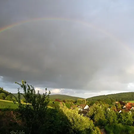 Rose Preußisch Oldendorf