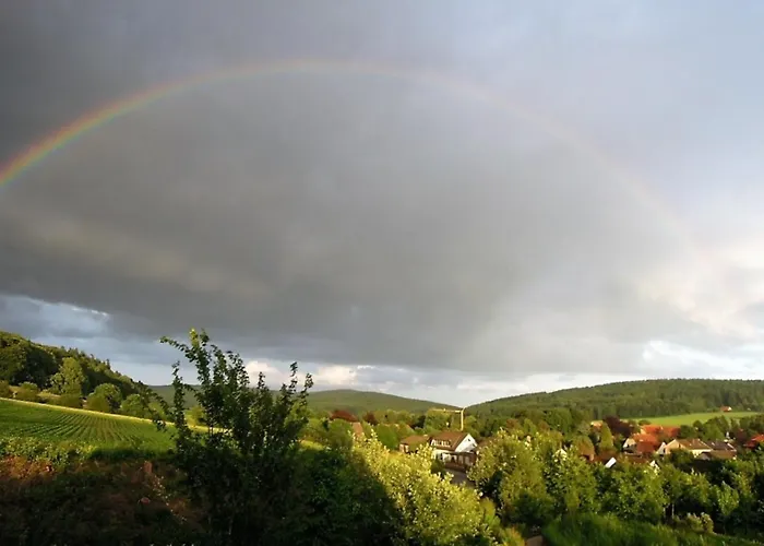 Rose Preußisch Oldendorf